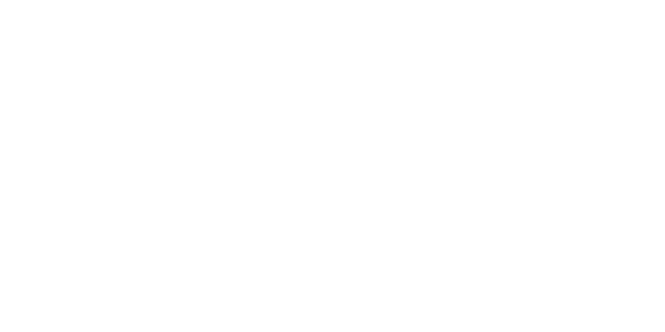 네코윈 솔루션 logo